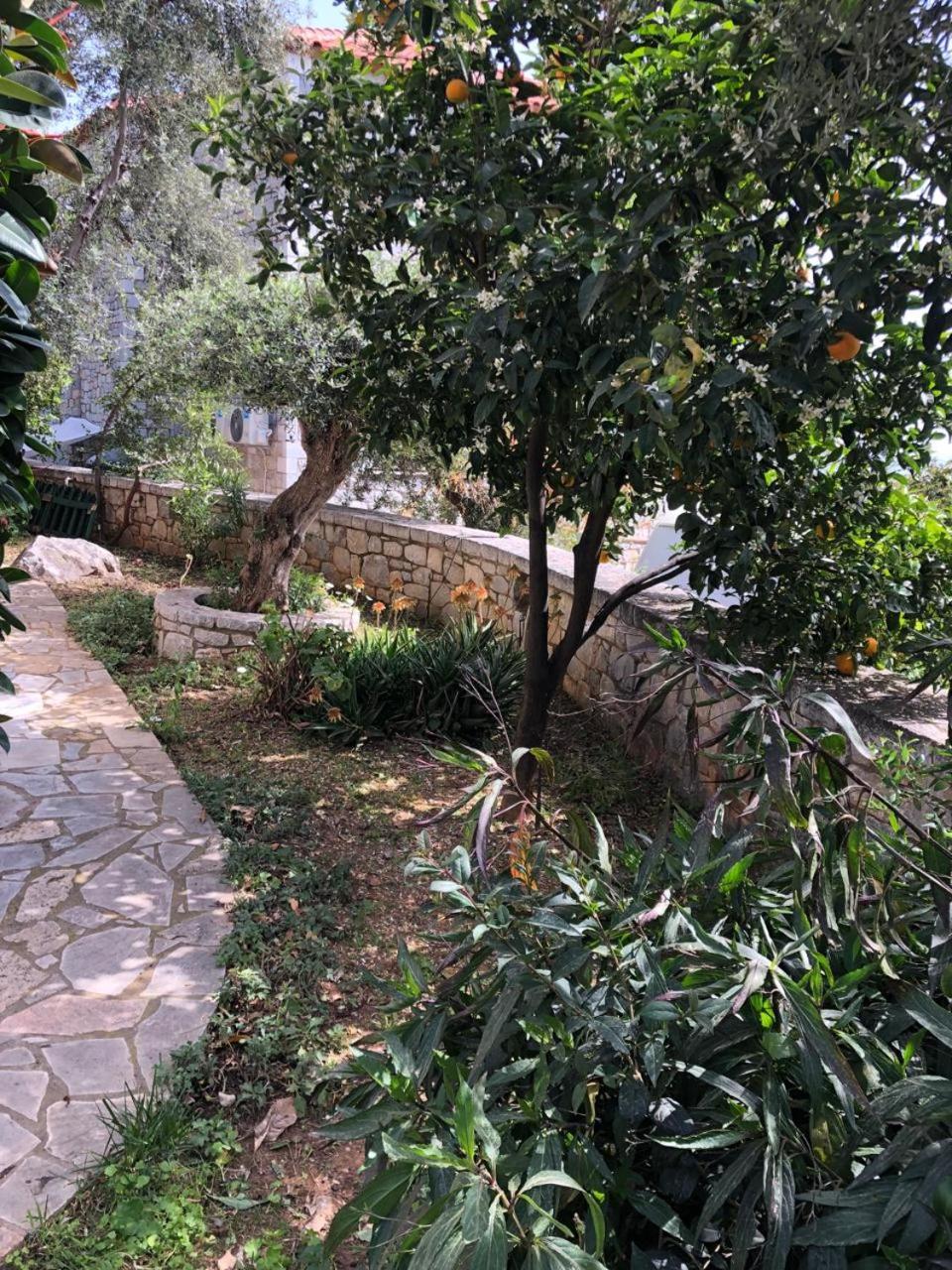 Villa Amanda Neokhorion  외부 사진